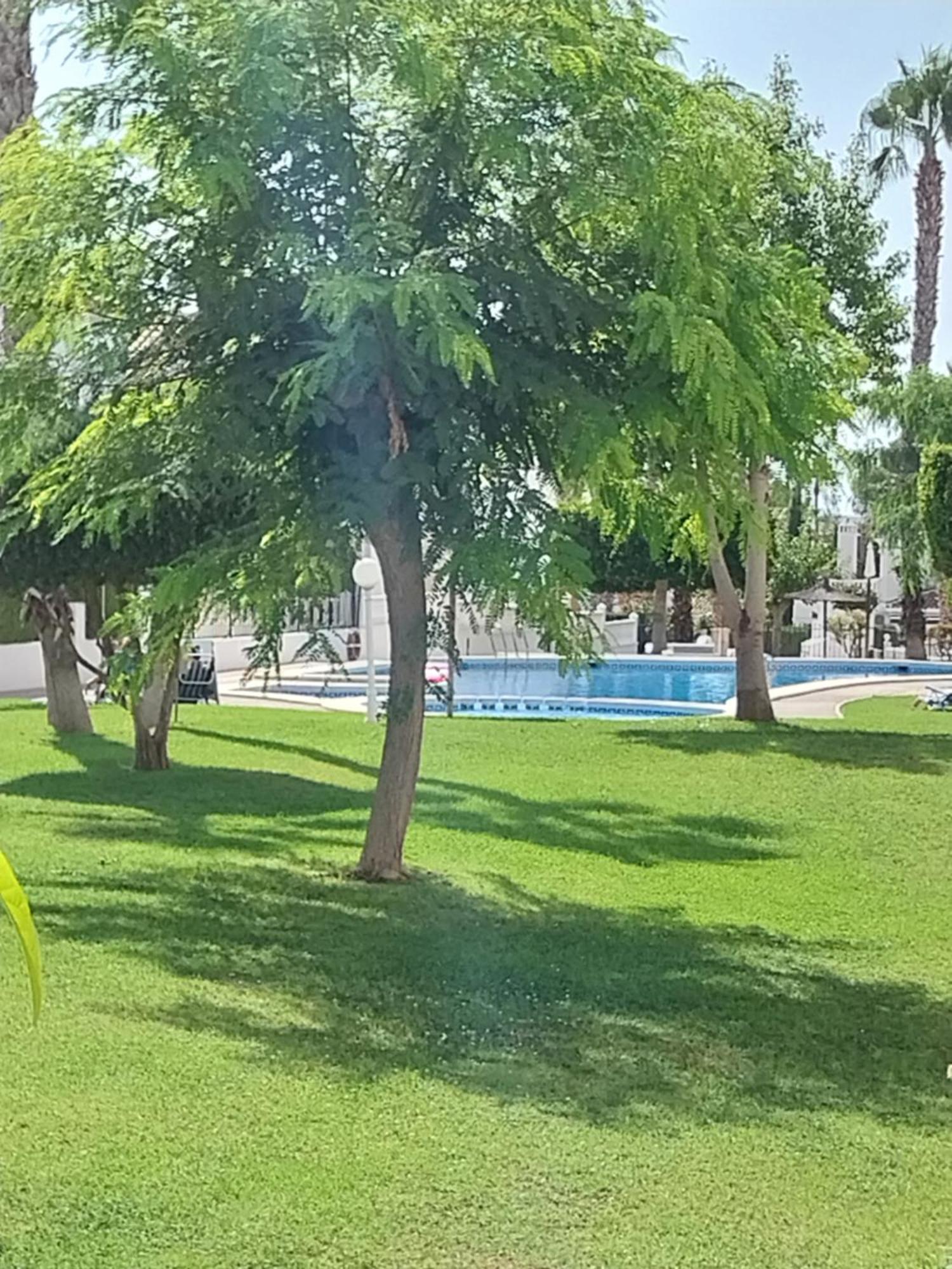 Charming Apartment In Front Of Villamartin Golf And Plaza Экстерьер фото